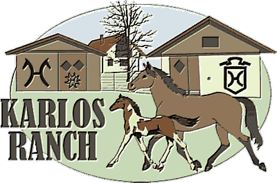 Karlos Ranch